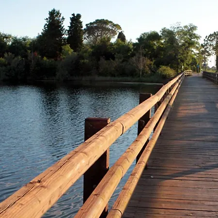 Bigolin Cristina Fossalon